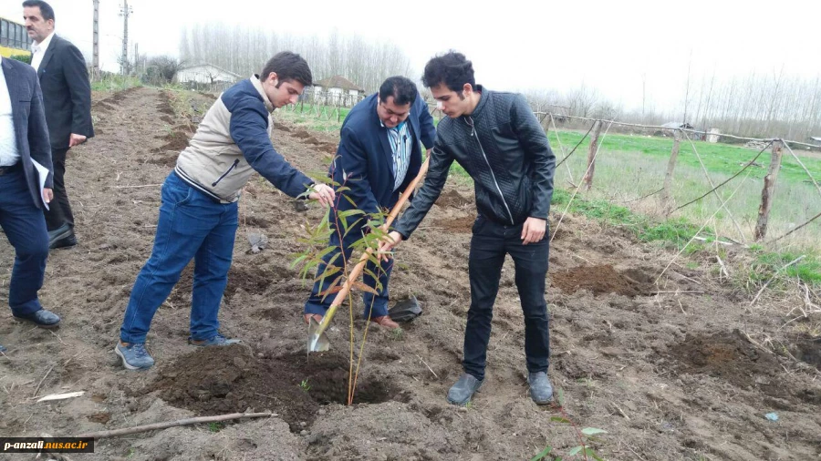 گزارش تصویری از مشارکت دانشجویان و پرسنل آموزشکده  شهید خدادادی از کاشتن نهال در روز درختکاری 3